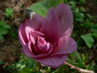 2010-05-23_12-32-24_0034