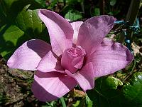 2010-05-23_14-04-26_0030