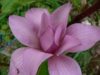 2010-05-23_16-58-24_0054