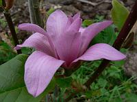 2010-05-23_16-58-44_0057