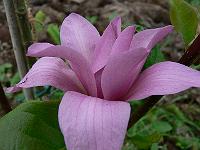 2010-05-23_16-58-54_0060