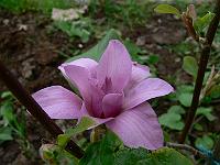 2010-05-23_16-59-14_0063