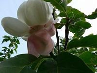 07-06-2006_21-49-55_04