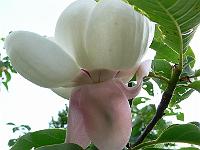 07-06-2006_21-50-03_06