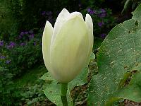 21-06-2006_12-42-11_08