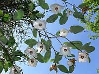20-05-2007_16-15-05_22