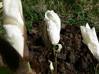 2009-04-12_09-41-59_0190