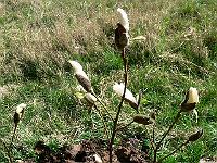 2009-04-12_09-42-17_0195