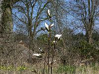 2009-04-12_10-27-50_0017