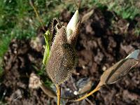 2009-04-10_15-28-17_0017