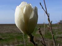 2010-04-24_07-42-33_0103