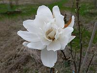 2010-04-28_14-04-25_0091