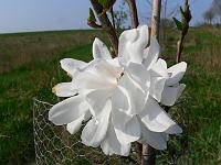 2011-04-22_08-12-58_0072