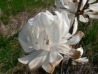 2011-04-22_08-13-14_0075