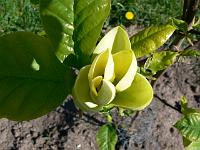 2008-05-10_09-06-02_0014