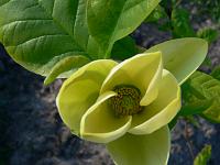 2008-05-10_09-06-02_0082