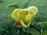 2008-05-11_05-10-50_0003