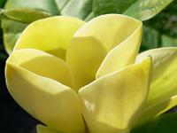 2008-05-11_16-16-51_0004