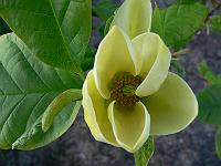 2008-05-11_16-16-51_0033