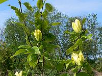 2010-05-28_08-19-31_0052