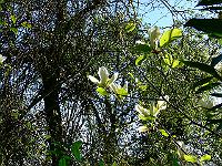 01-05-2007_14-24-23_34