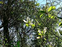 01-05-2007_14-24-34_37