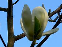 04-05-2008_08-49-01_144