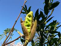 16-04-2007_10-01-43_65