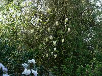 2009-04-30_07-14-29_0081