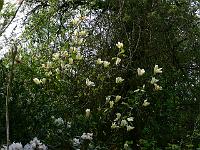 2009-05-03_08-18-10_0161