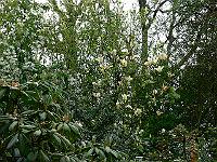 2009-05-05_09-08-28_0024