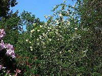 2010-05-20_15-41-25_0256