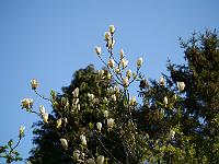 2012-05-02_08-37-41_0196