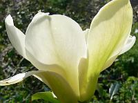 25-04-2007_15-18-46_16
