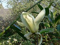 26-04-2007_09-18-28_14