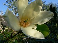 26-04-2007_09-18-52_20
