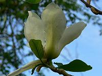 28-04-2007_10-38-16_67
