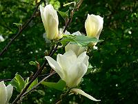 28-04-2007_10-39-18_83