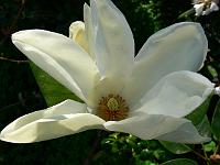01-05-2007_14-26-38_69