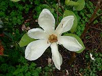 07-05-2007_10-45-25_09