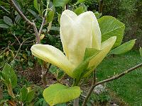 15-05-2006_10-10-22_22