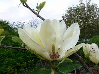 2011-05-03_16-54-23_0024