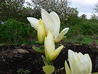 2011-05-03_16-54-43_0030