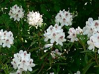 20-05-2007_12-05-41_25