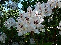2008-05-18_08-40-54_0076
