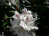 2008-05-18_08-40-54_0080