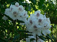 2008-05-18_08-40-54_0091
