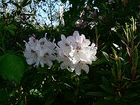 2009-05-09_08-29-32_0068