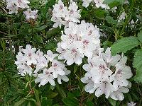 2009-05-14_07-45-29_0091
