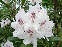 2009-05-14_07-45-50_0097